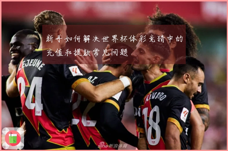 新手如何解决世界杯体彩竞猜中的充值和提款常见问题