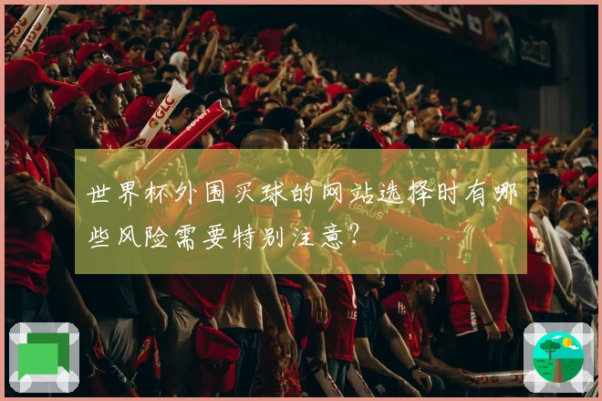 世界杯外围买球的网站选择时有哪些风险需要特别注意？