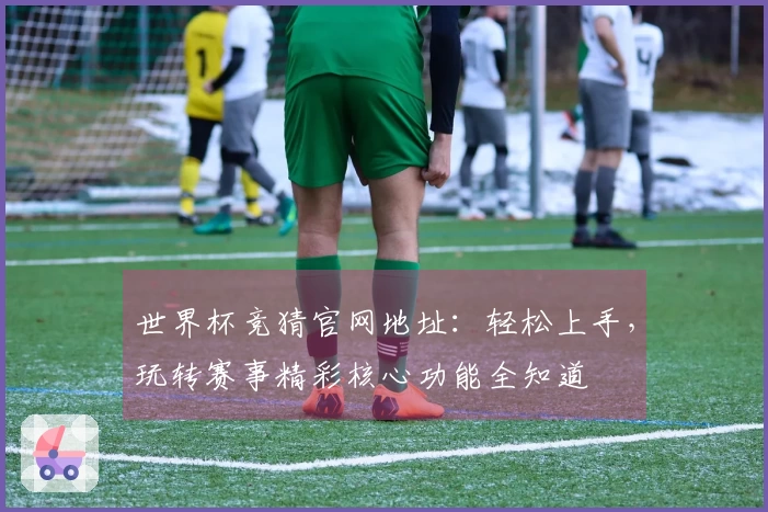 世界杯竞猜官网地址：轻松上手，玩转赛事精彩核心功能全知道