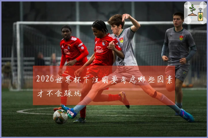 2026世界杯下注前要考虑哪些因素才不会踩坑