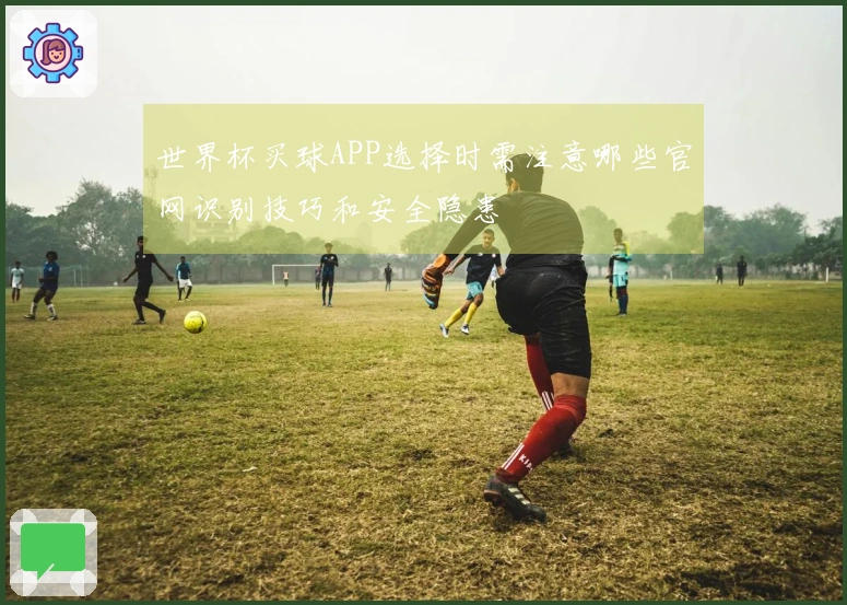 世界杯买球APP选择时需注意哪些官网识别技巧和安全隐患
