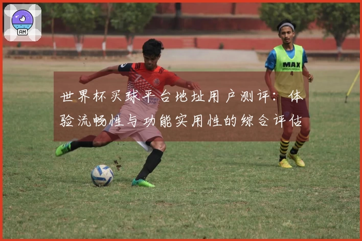 世界杯买球平台地址用户测评：体验流畅性与功能实用性的综合评估