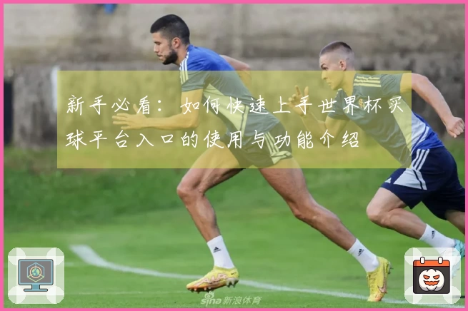 新手必看：如何快速上手世界杯买球平台入口的使用与功能介绍
