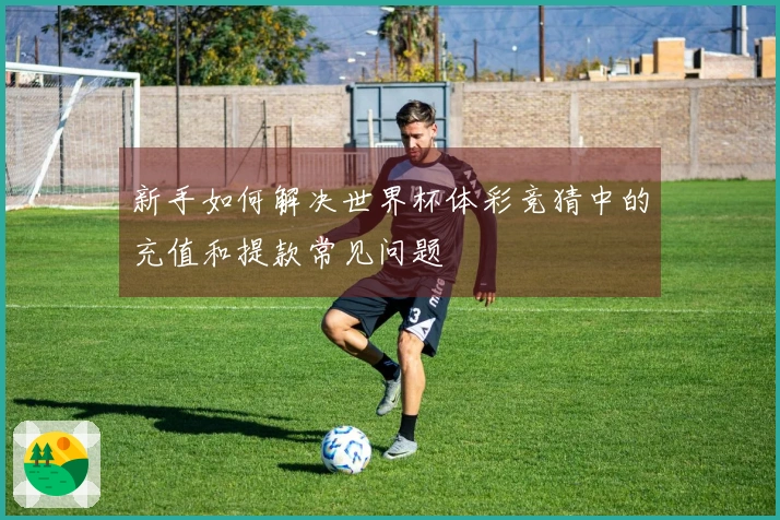 新手如何解决世界杯体彩竞猜中的充值和提款常见问题