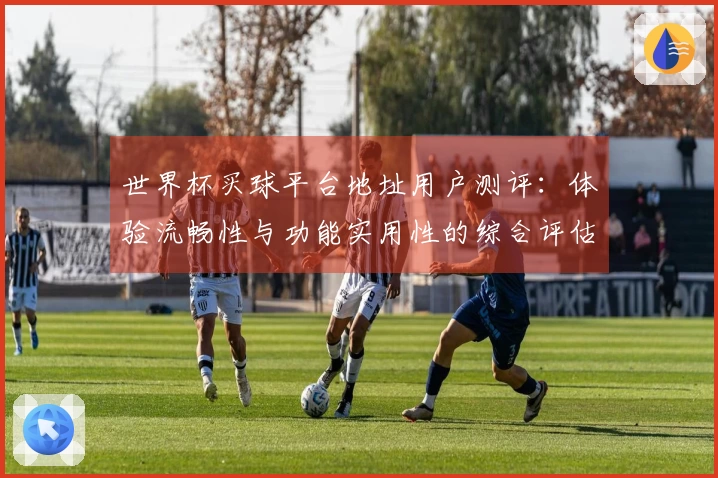 世界杯买球平台地址用户测评：体验流畅性与功能实用性的综合评估